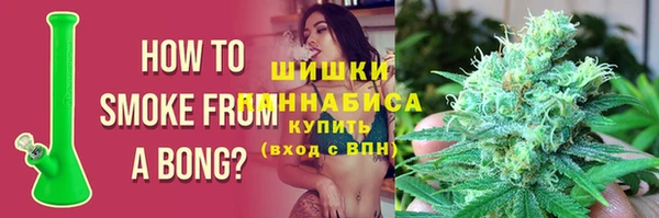 гидропоника Пересвет