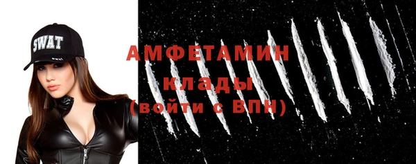 гидропоника Пересвет
