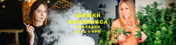 гидропоника Пересвет