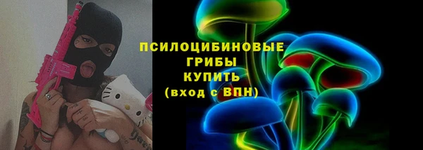 эйфоретик Пестово