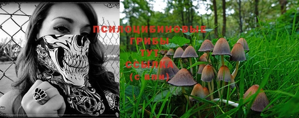эйфоретик Пестово