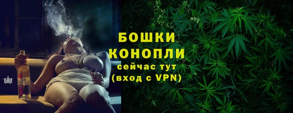 гидропоника Пересвет